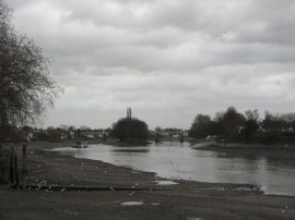 View towards Oliver's Island