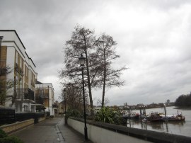 Thames Path, nr Chiswick Pier