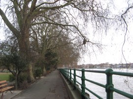 Bishops Park