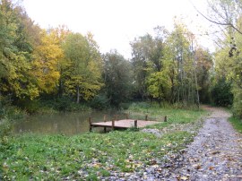 Pond, Michael Frost Park, Yeading