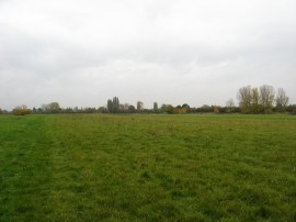 Yeading Nature Reserve