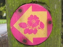 Dog Rose Ramble Way Marker