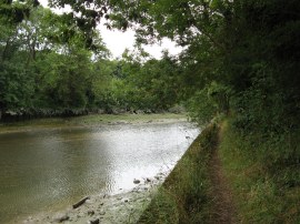 River Medway below Allington Lock