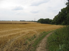 The top of the Downs