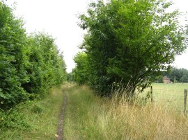 Path nr Harp Farm