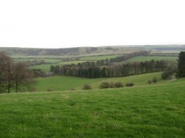 View from Lower Woodcott Down