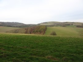 View from Lower Woodcott Down