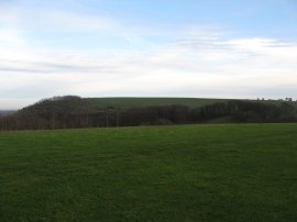 View towards Watership Down