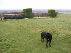 Gallops, Watership Down