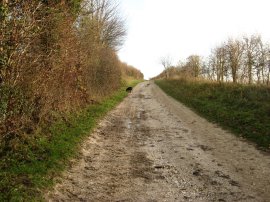 Approaching North Oakley