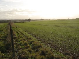 Fields just past Great Deane Wood