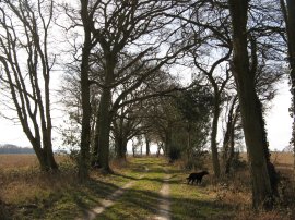 Path nr Breach Farm