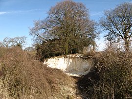 Chalk Pit, nr Becket's Down