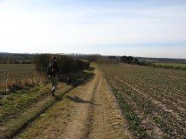 Chalk Pit, nr Becket's Down