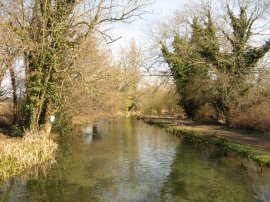 River Arle, New Arlesford