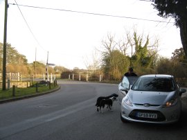 Bonnie and Zuka back at the car in Cheriton