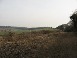 Upper Lamborough Lane