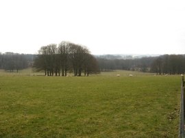 Parkland, Hinton Ampner