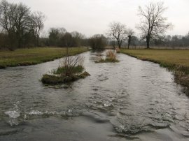 River Meon nr Droxford