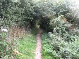 Footpath nr Widley