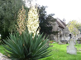 St Thomas Church, Bedhampton