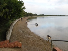 Beach nr Langstone