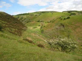 View along Uldale