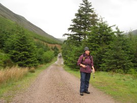 Track heading towards Black Sail