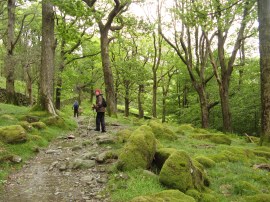 Path nr Longthwaite