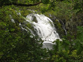 Thornthwaite Force