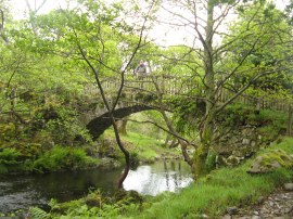 Park Bridge