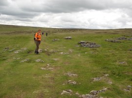 Path across the fells