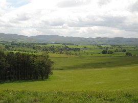 View towards Orton