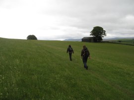 Field in the Lune Valley