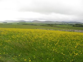 View over to the Howgills