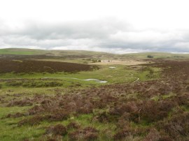 Ravenstonedale Moor