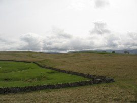 Moorland enclosure