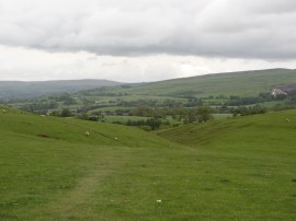 Path leading to Greenrigg Farm
