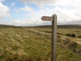 Path by Ney Gill