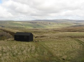 Wooden Hut