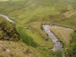 Whitsundale Beck