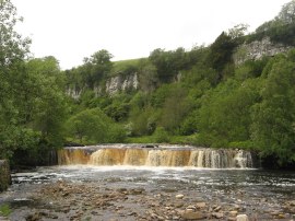 Wain Wath Force