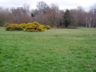 Tooting Bec Common