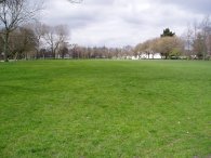 Wandsworth Common