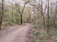 Wimbledon Common