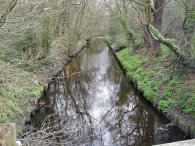 Beverley Brook