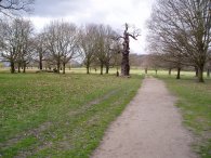 Richmond Park