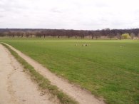 Richmond Park