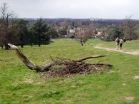 Approaching Petersham