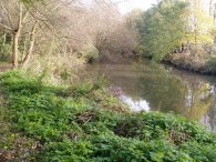 River Brent